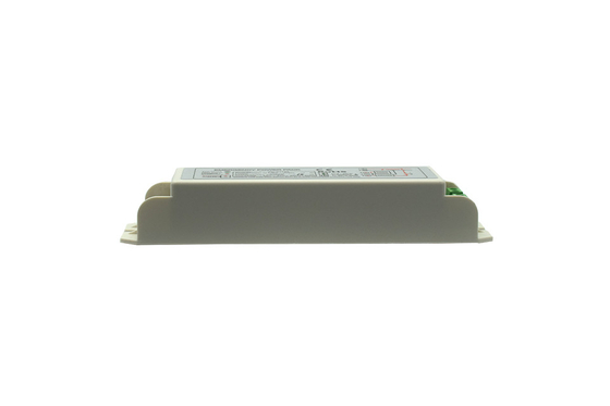 11-20W Max 1.25A Συσκευή ισχύος φωτισμού έκτακτης ανάγκης 2h Προσαρμοσμένη